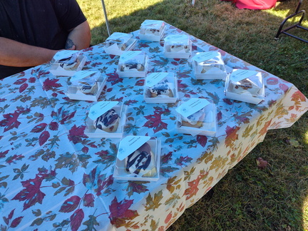 823f972e-fada-4426-aacd-f976640702ed-1 all 3785