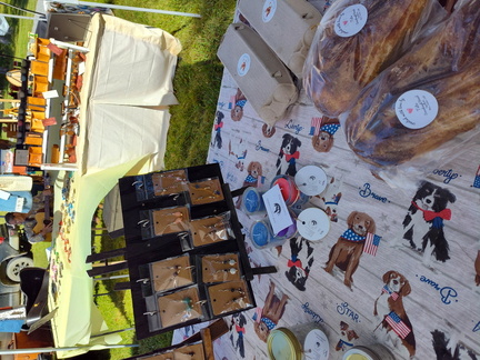 823f972e-fada-4426-aacd-f976640702ed-1 all 3770