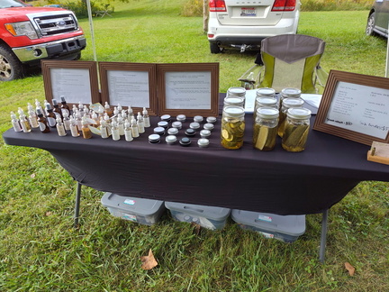 823f972e-fada-4426-aacd-f976640702ed-1 all 3816